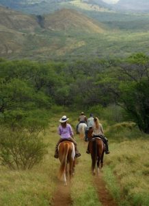 Makena Stables, Maui Hawaii, horse back riding