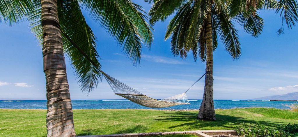Costal Paradisio - Hammock between palm trees - Hawaii Vacation Home