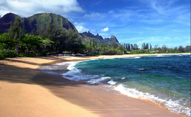 Beach Terrace - Beautiful beach - Hawaii Vacation Home