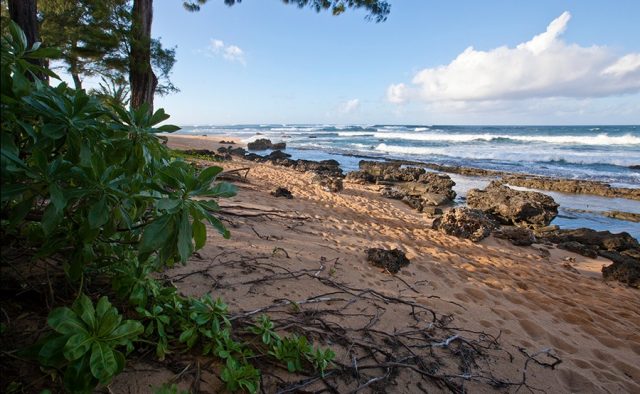 Beach Terrace - Beach - Hawaii Vacation Home