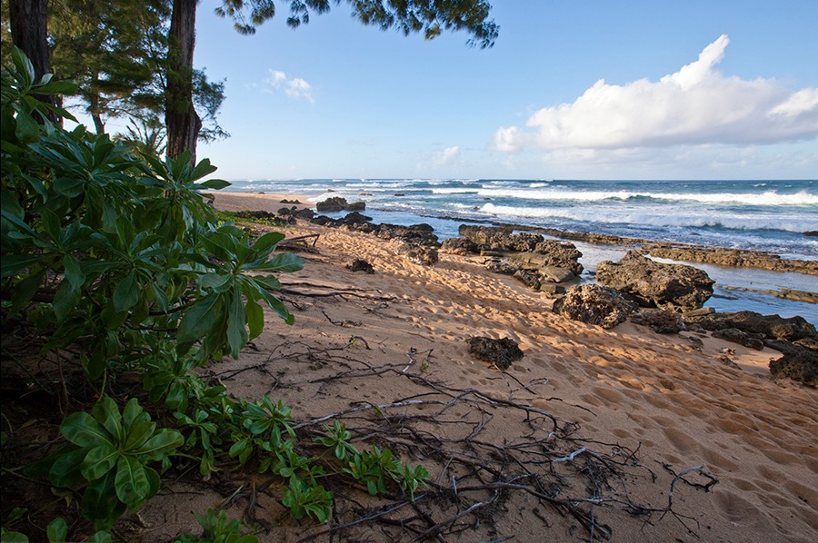 Beach Terrace - Beach - Hawaii Vacation Home