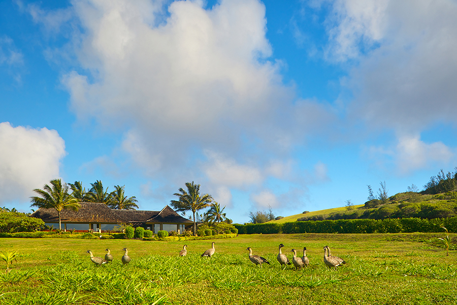 Star Steps - Exterior - Hawaiian Luxury Vacation Home