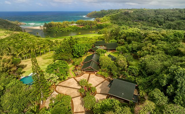 Whimsical Refuge - Aerial Shot - Luxury Vacation Homes