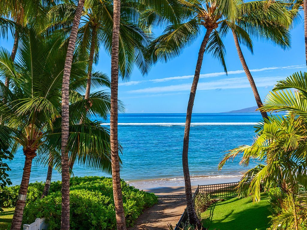 Beach Treasure - Backyard view - Hawaii Vacation Homes