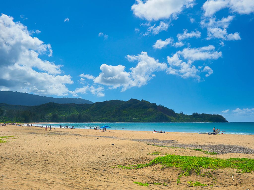 Natural Harmony - Beach - Kauai Vacation Home